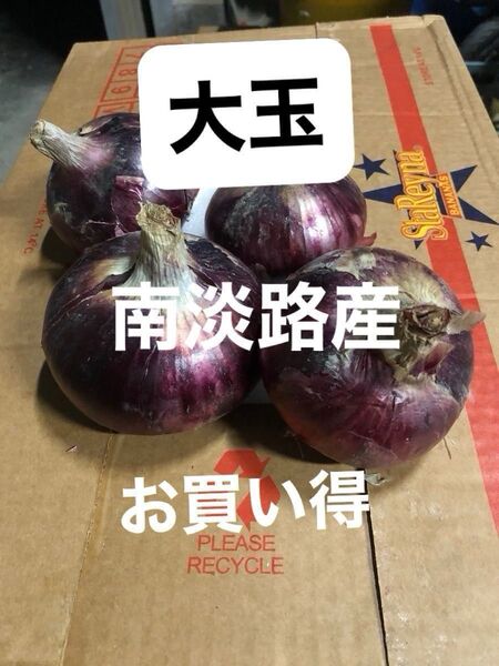淡路産玉ねぎ5K