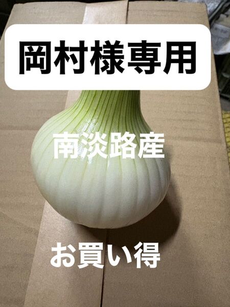 訳あり南淡路産早生玉ねぎ
