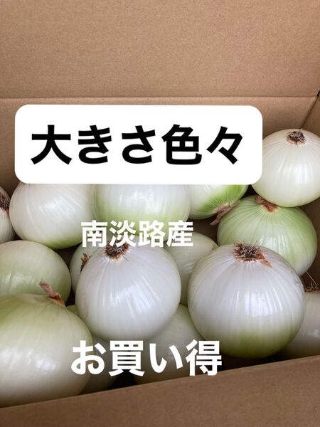 南淡路産早生玉ねぎ10K