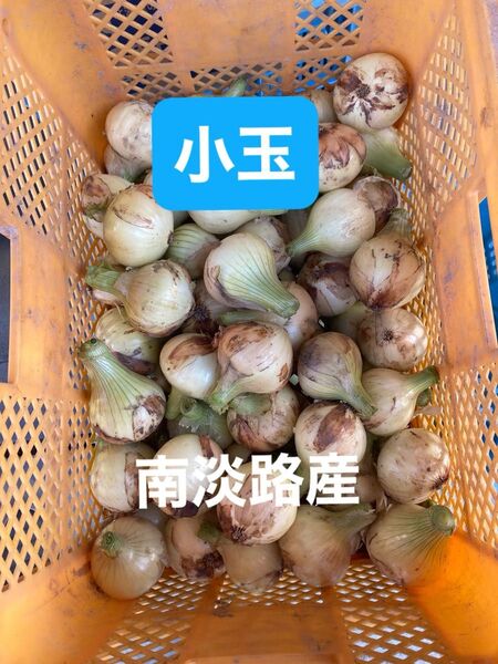 南あわじ産小玉混合10K