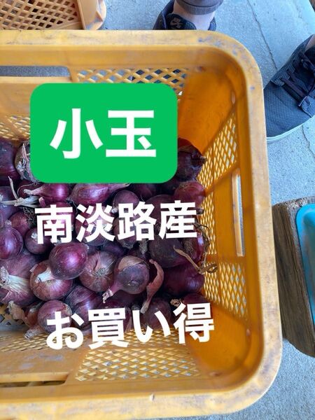 南淡路産赤玉小玉5Kターザン5K