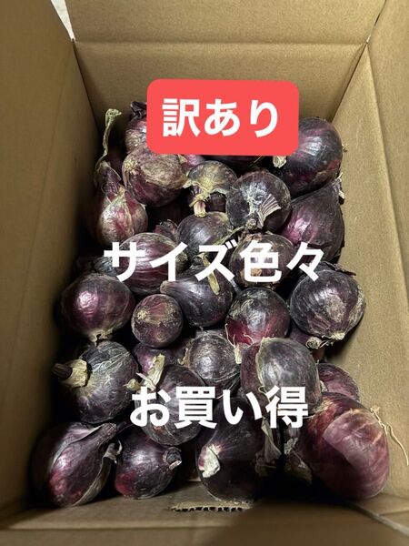 訳あり南淡路産小玉5K