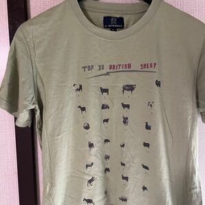 R. NEWBOLD Top 30 British Sheep Tシャツ S
