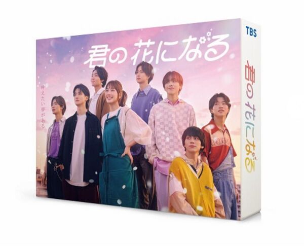 火曜ドラマ『君の花になる』/DVD-BOX(TBSオリジナル特典付き・7枚組) DVD