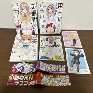 思春期ちゃんのしつけかた 特装版 2 ~ 4 3巻セット 3巻おとなの薄い本付き