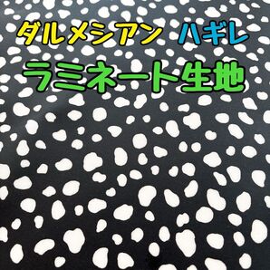 ダルメシアン柄 ラミネート生地 はぎれ アニマルプリント ブラック 白黒 ツイル生地 ラミネート 生地 ハギレ