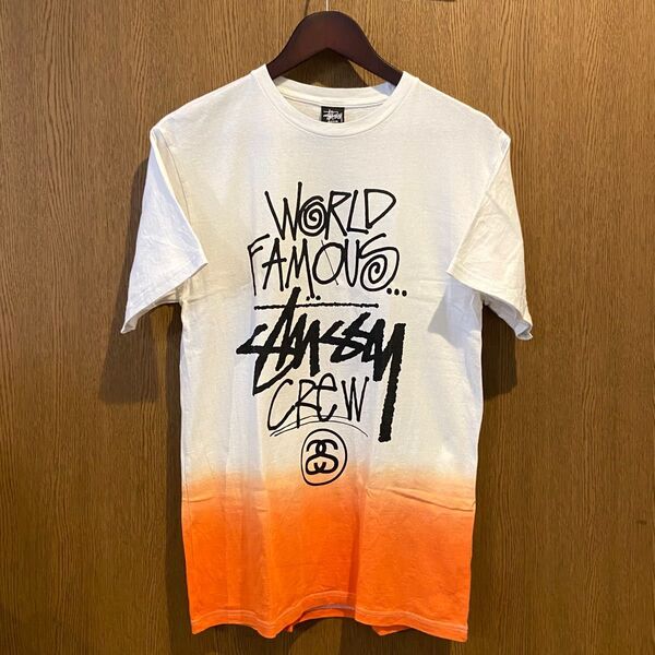 stussy ステューシー Tシャツ ホワイト(M)