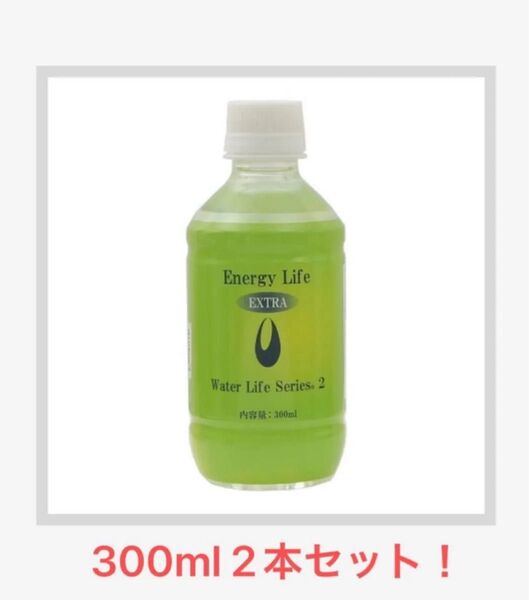新品未開封 クラブエコウォーター エナジーライフエクストラ 300ml 2本セット ポタポタクラブ