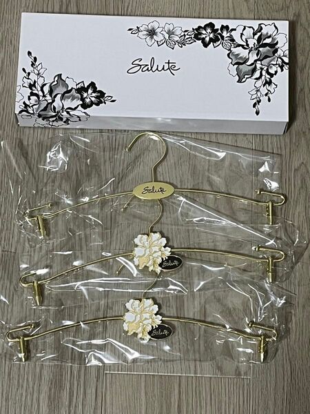 【非売品】サルート salute オリジナルランジェリーハンガー 3本セット