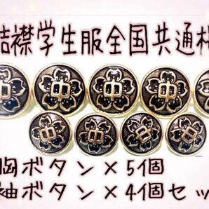 詰襟学生服(学ラン)用 全国共通標準型中学生 桜 胸ボタン5個+袖ボタン4個