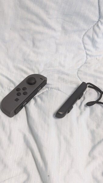 ジョイコン グレー 任天堂 ストラップグレー switch Joy-Con L