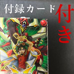 遊戯王 ザ・ヴァリュアブル・ブック 17 付録カード付き