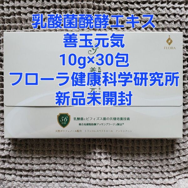 乳酸菌醗酵エキス 善玉元気 10g×30包 フローラ健康科学研究所 ②