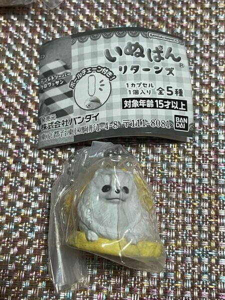 いぬぱんリターンズ ポメラニアン