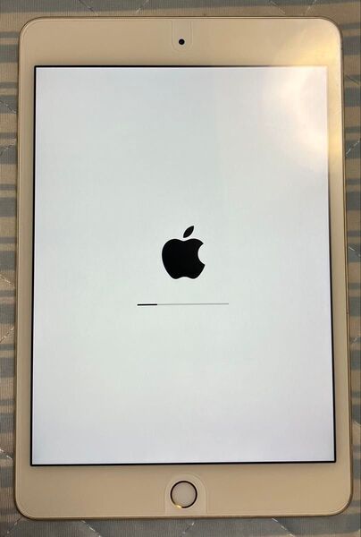 Apple iPad mini 4 Wi-Fi モデル128GB ゴールド おまけ付き