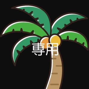 *専用ページ*