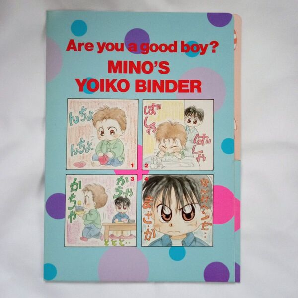 赤ちゃんと僕 花とゆめ付録ファイル 1994年当時物
