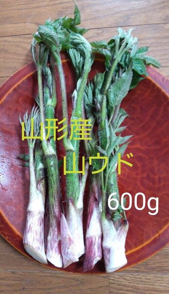 山うど 600g
