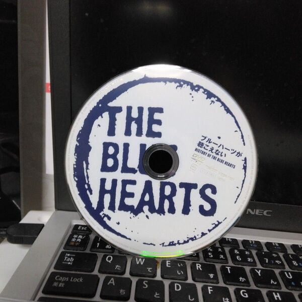 THE BLUE HEARTS HISTORY OF THE BLUE HEARTS DVD