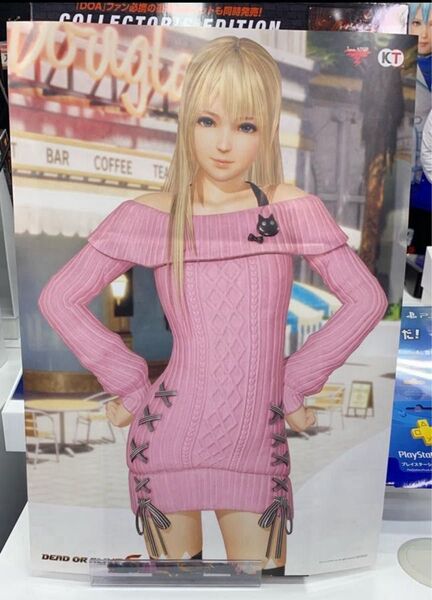 DEAD OR ALIVE 6 マリーローズ A3ポスター