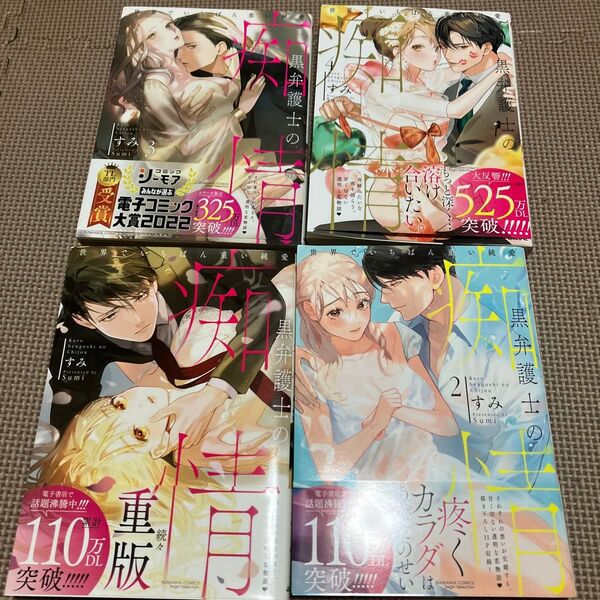 黒弁護士の痴情 世界でいちばん重い純愛 (BUNKASHA COMICS S・gi) すみ 著