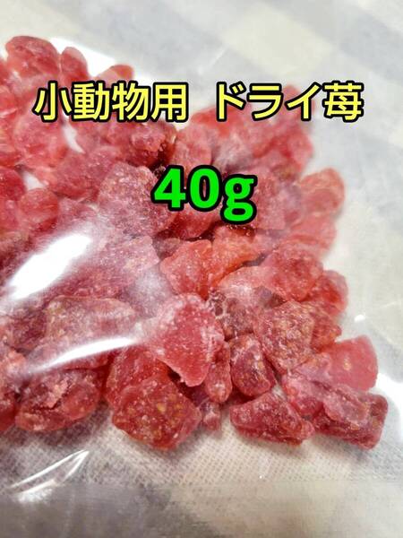 【人気おやつ】ドライ苺40g 乾燥イチゴ ストロベリー ドライフルーツ 小動物 ドライフルーツ フクロモモンガ ハムスター うさぎ モルモット