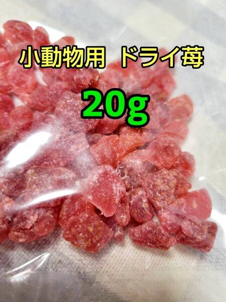 【人気おやつ】ドライ苺20g 乾燥イチゴ ストロベリー ドライフルーツ 小動物 ドライフルーツ フクロモモンガ ハムスター うさぎ モルモット