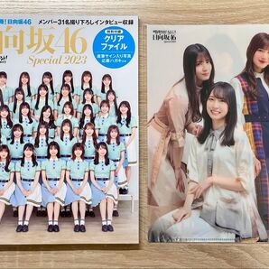★日経エンタテインメント! 日向坂46 Special 2023★ 両面クリアファイル付き 小坂菜緒 金村美玖 河田陽菜 富田鈴花