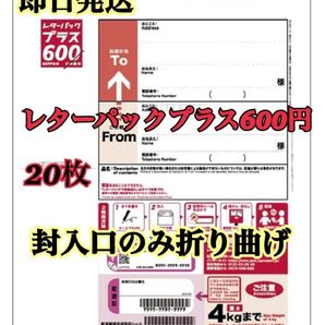 日本郵便 レターパックプラス 現行600円×20 20枚 未使用 現行柄 新料金