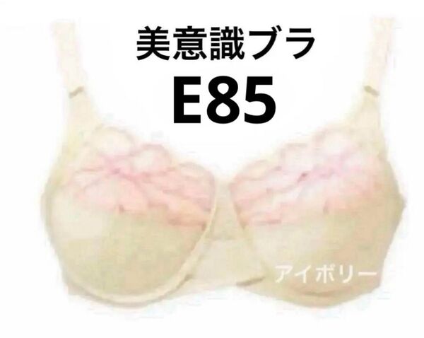 シャルレ 美意識ブラ E85
