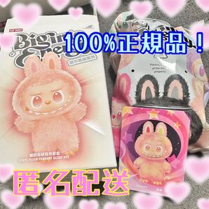LABUBU ラブブ Big Into Energy