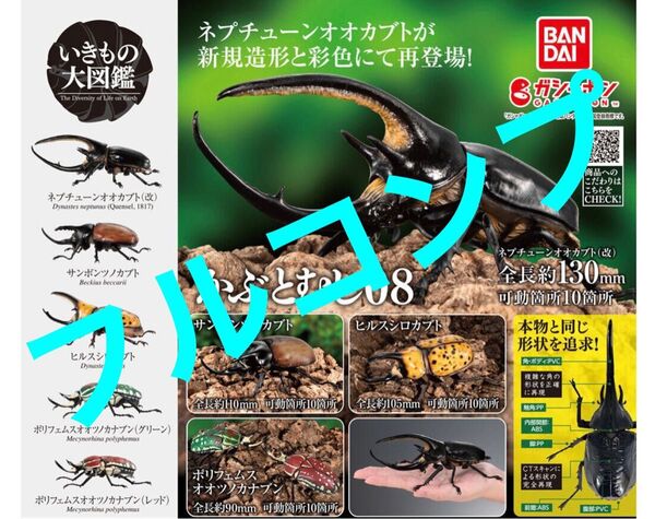 【5種フルコンプ】 かぶとむし08 いきもの大図鑑 カブトムシ08