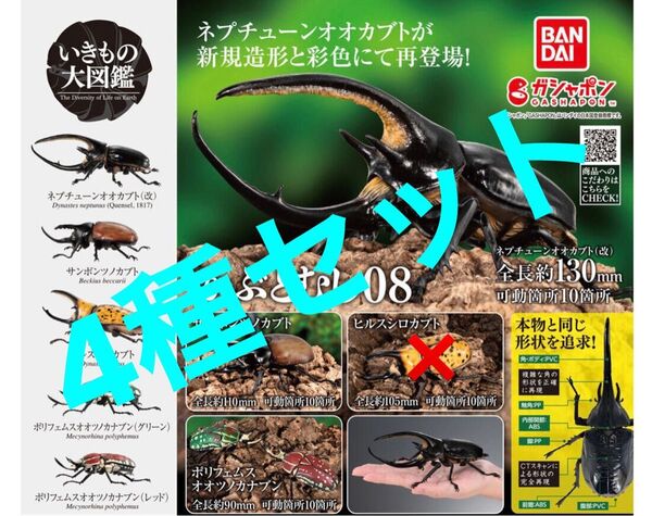 【4種セット】 かぶとむし08 いきもの大図鑑 カブトムシ08