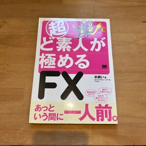 超ど素人が極めるFX あっという間に一人前。