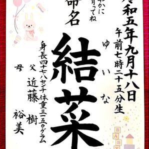 【A4命名書】 ポストカードプレゼント付き 手書き