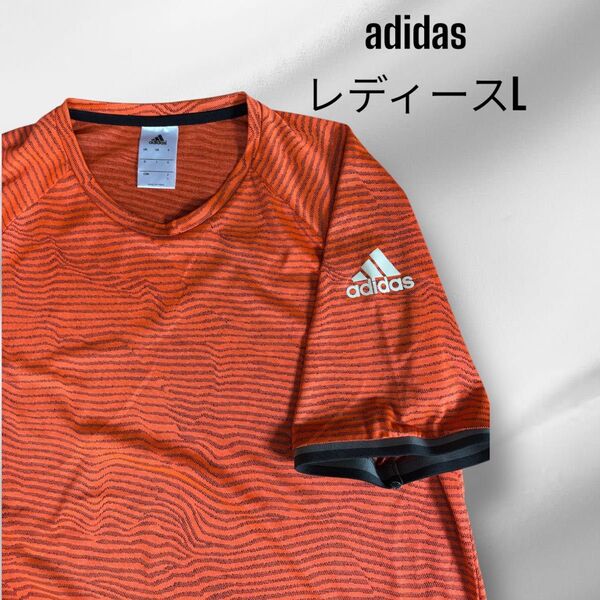 adidas レディースLサイズ Tシャツ