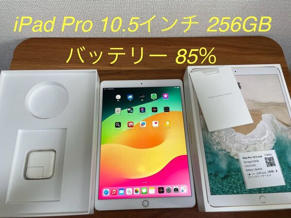 iPad Pro 10.5インチ Wi-Fiモデル 256GB ゴールド NPF12J/A A1701 動作確認済