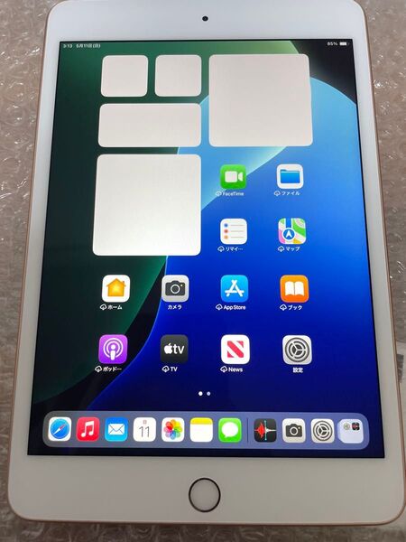 iPad mini 第5世代 Wi-Fi + Cellular SIMフリー 256GB ゴールド MUXE2J/A 動作確認済