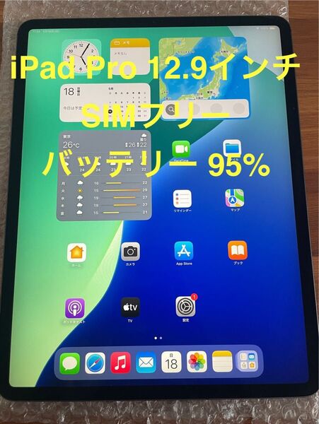 iPad Pro 12.9インチ 第3世代 Wi-Fi + Cellular SIMフリー 64GB スペースグレイ 動作確認済