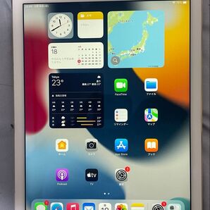 iPad Air 第2世代 Wi-Fi + Cellular 32GB ゴールド MNVR2J/A A1567 動作確認済