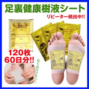 足裏樹液シート 120枚セット むくみ 足裏シート 旅行 健康 スポーツ リフレクソロジー リラクゼーション 休足シート 疲労回復