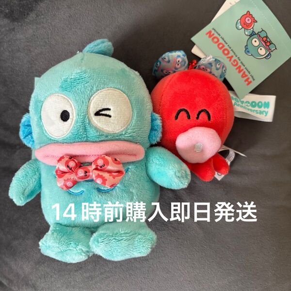 【セット/新品未使用タグ付き】ハンギョドン さゆり うきうきライフ 40周年 マスコットホルダー キーホルダー