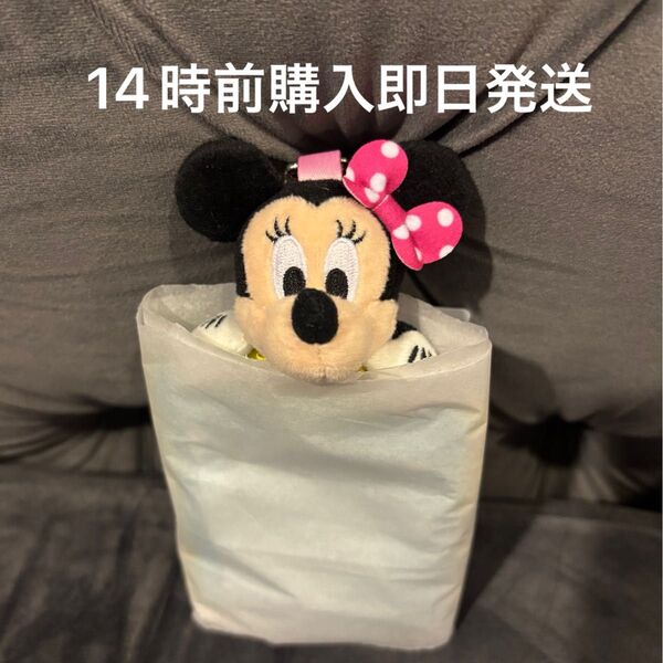 【新品未使用タグ付き】ディズニー ミニー カードホルダー トレカケース トゥーンタウン 水玉 ピンク