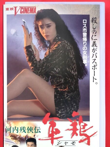 【DVD未発売】河内残侠伝 軍鶏〈シャモ〉三原じゅん子【レンタル落ち ビデオ】