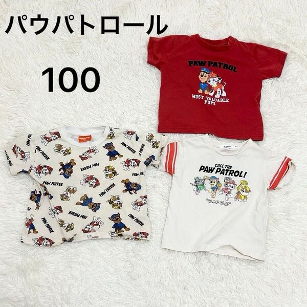 【記名あり】パウパトロール Tシャツ 半袖 3枚セット
