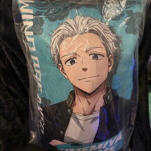 WIND BREAKER ウィンブレ クッション 梅宮一