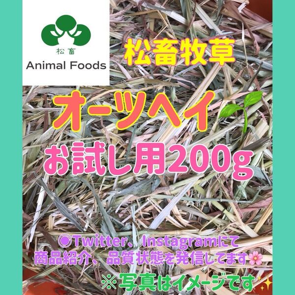 ★松畜牧草★お試し用★オーツヘイ スーパープレミアム オーストラリア産 200g