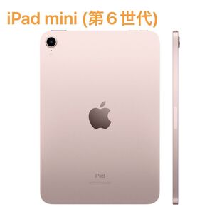 iPad mini 6
