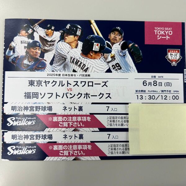 ヤクルト VS 福岡ソフトバンクホークス 6月8日(日) 神宮球場 2枚 SS指定席ネット裏(連番席)