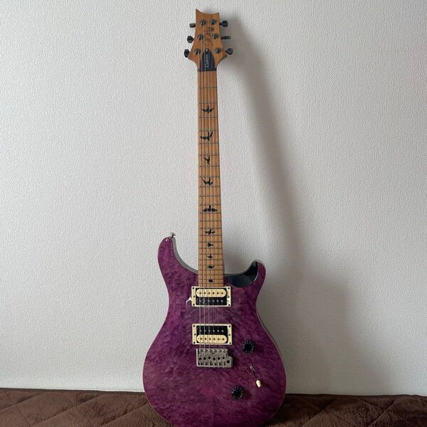 PRS SE Custom24 ポールリードスミス ギター